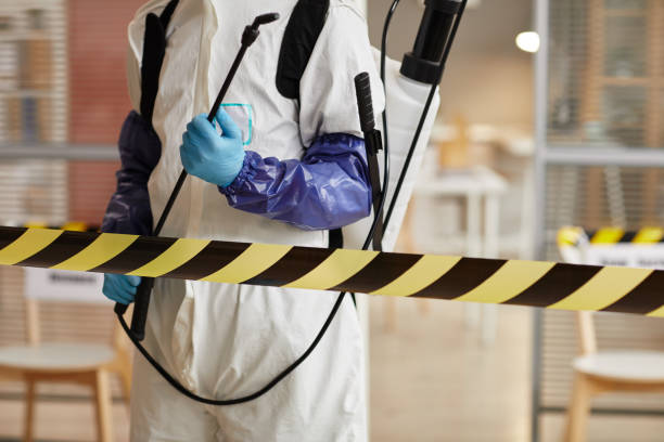 Professional Sewage Cleanup technician working in Danbury, CT